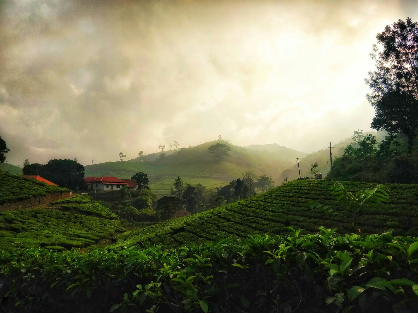 Packing for Kerala (Humidity, Rain and Backwaters)